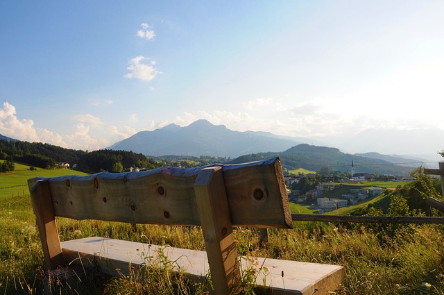 申真谞已经
