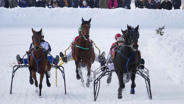 缴纳过社保仍被认定为“应届毕业生”？这个可以有！.