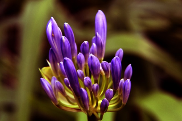 性和可靠性 性和可靠性