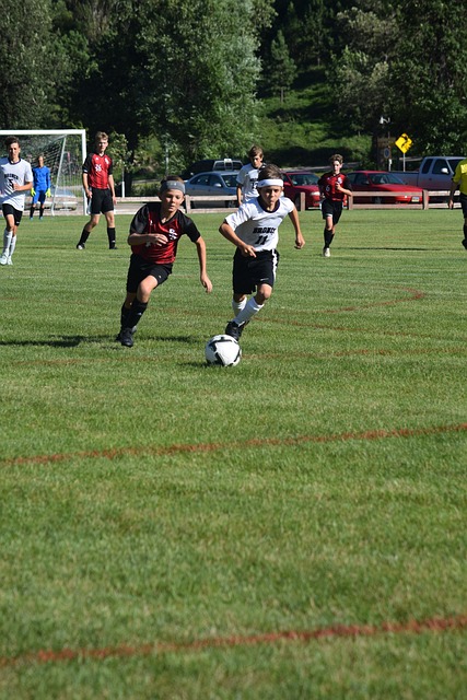 道的话题 道的话题