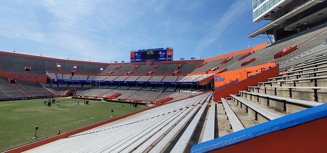 替补出场破门！费兰社媒庆祝胜利：这是鲨鱼时刻🦈💥.