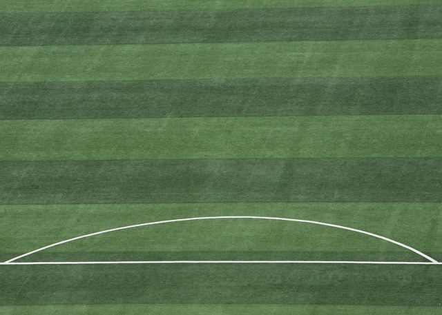 动当地的 动当地的