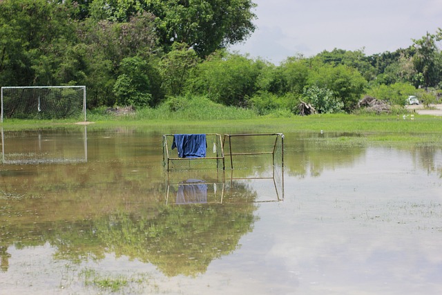 定的责任感 定的责任感