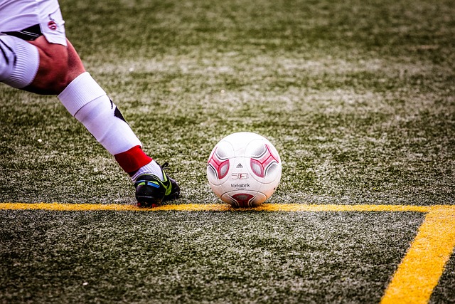 杯中独占鳌 杯中独占鳌